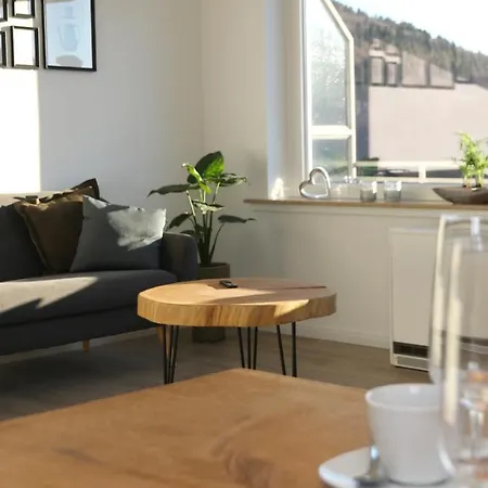 Seeblick25 - Apartments - Balkony - Wifi - Great View - New & Modern Winterberg Exterior photo