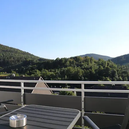 Seeblick25 - Apartments - Balkony - Wifi - Great View - New & Modern Winterberg Exterior photo